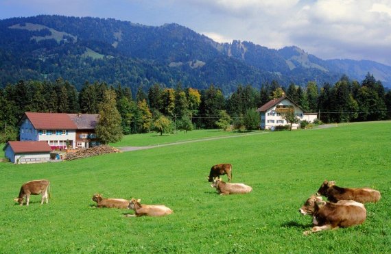 Vorarlberg natuur